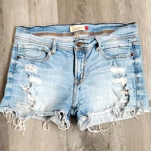 Jean Shorts Large